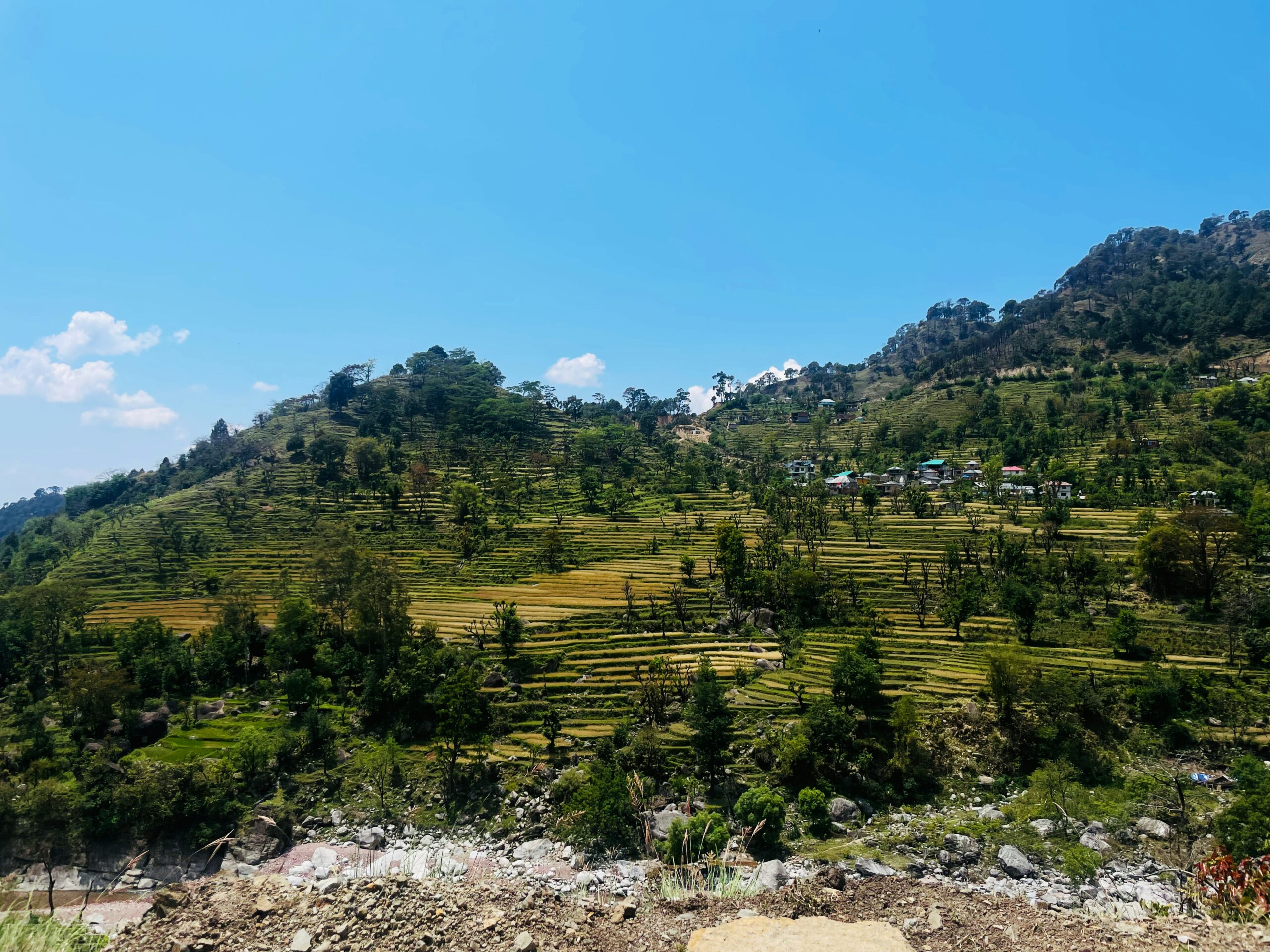 Terraced fields and hillside villages near Kangra surrounded by green mountains
