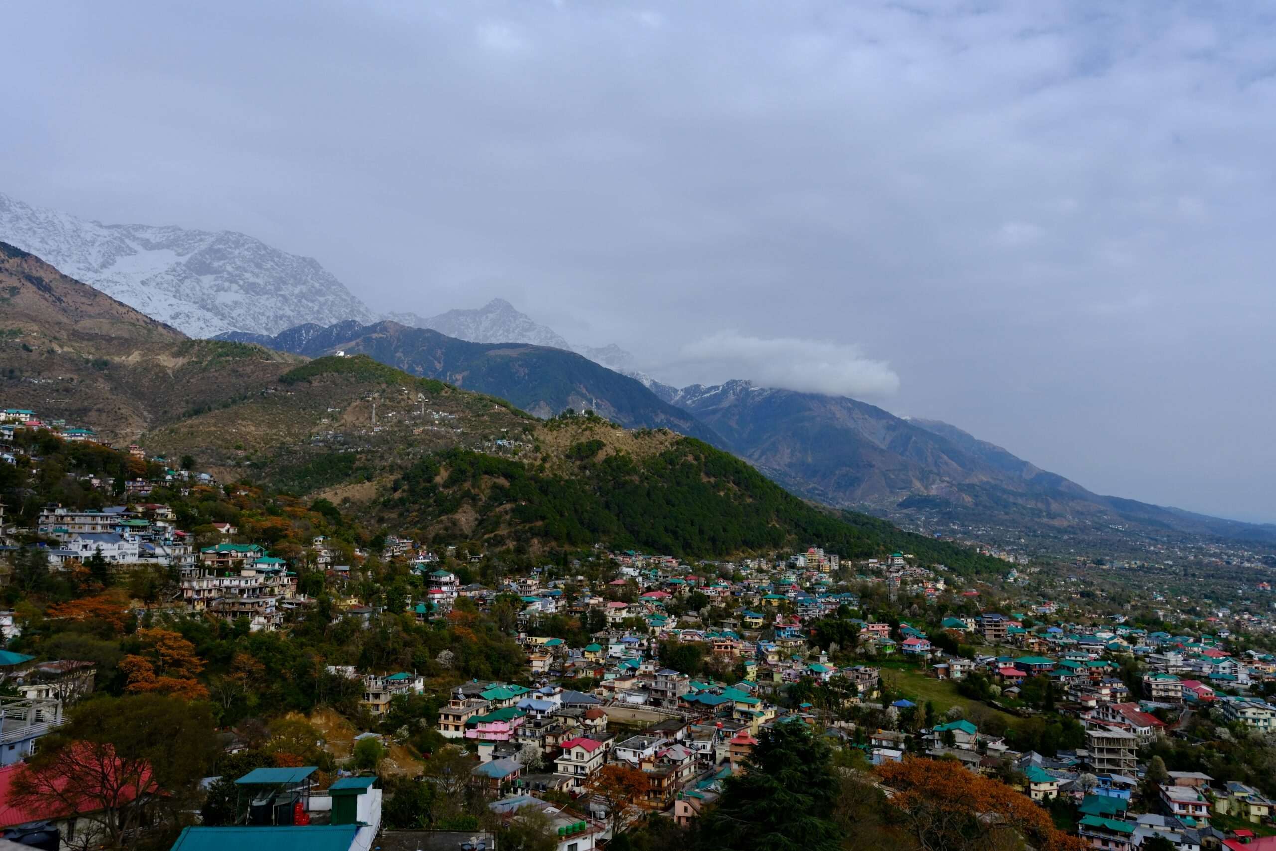 Dharamshala town nestled in the foothills of the Dhauladhar mountains