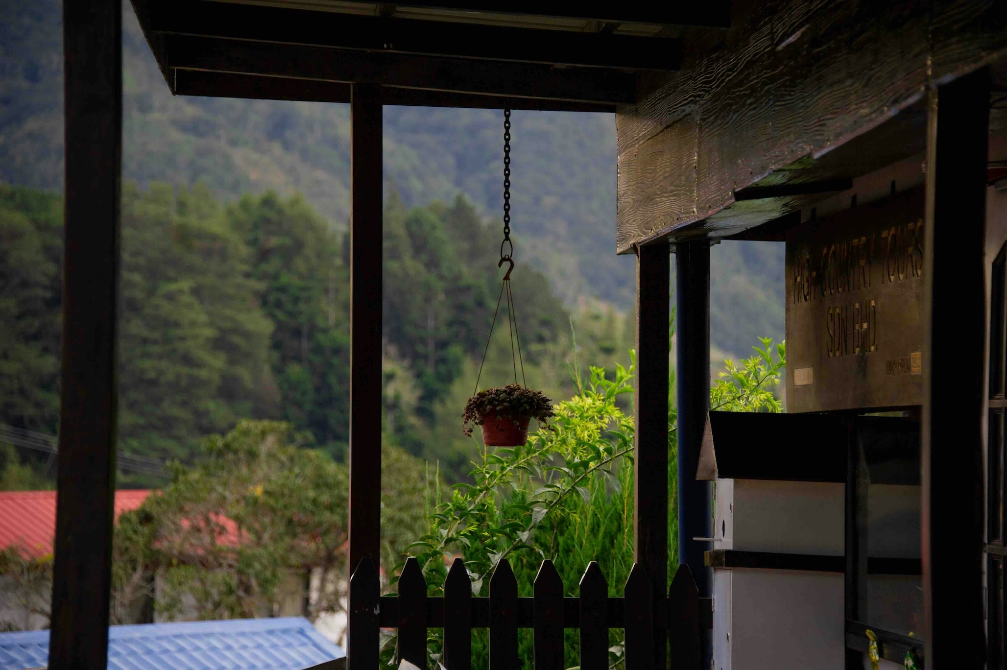 A hanging potted plant sways under a wooden veranda, with misty green hills and pine forests in the background.