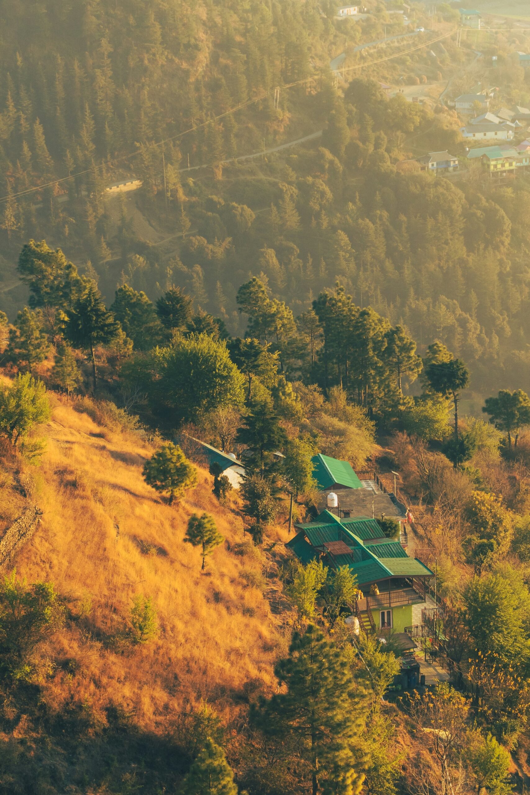 Forested hillside in Dharamshala with scattered homes at different elevations, showing how residential areas are spread across mountain slopes.
