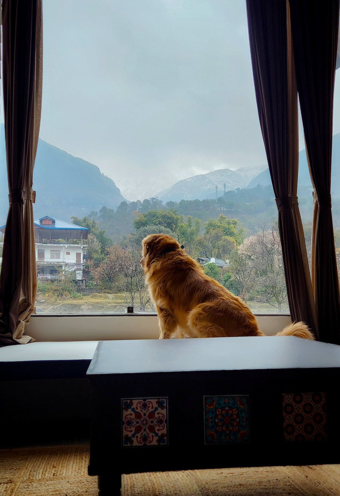 Quiet morning view from inside Manoratham homestay in Dharamshala, with hills visible through a large window
