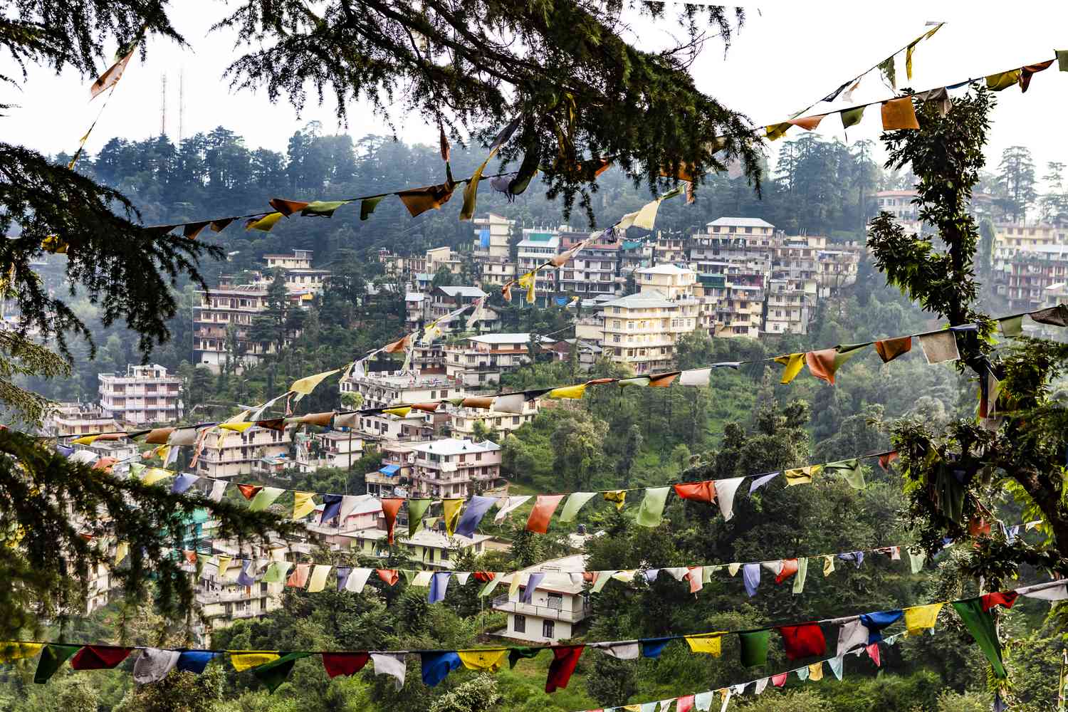 View of McLeod Ganj town in Dharamshala surrounded by the Dhauladhar mountains