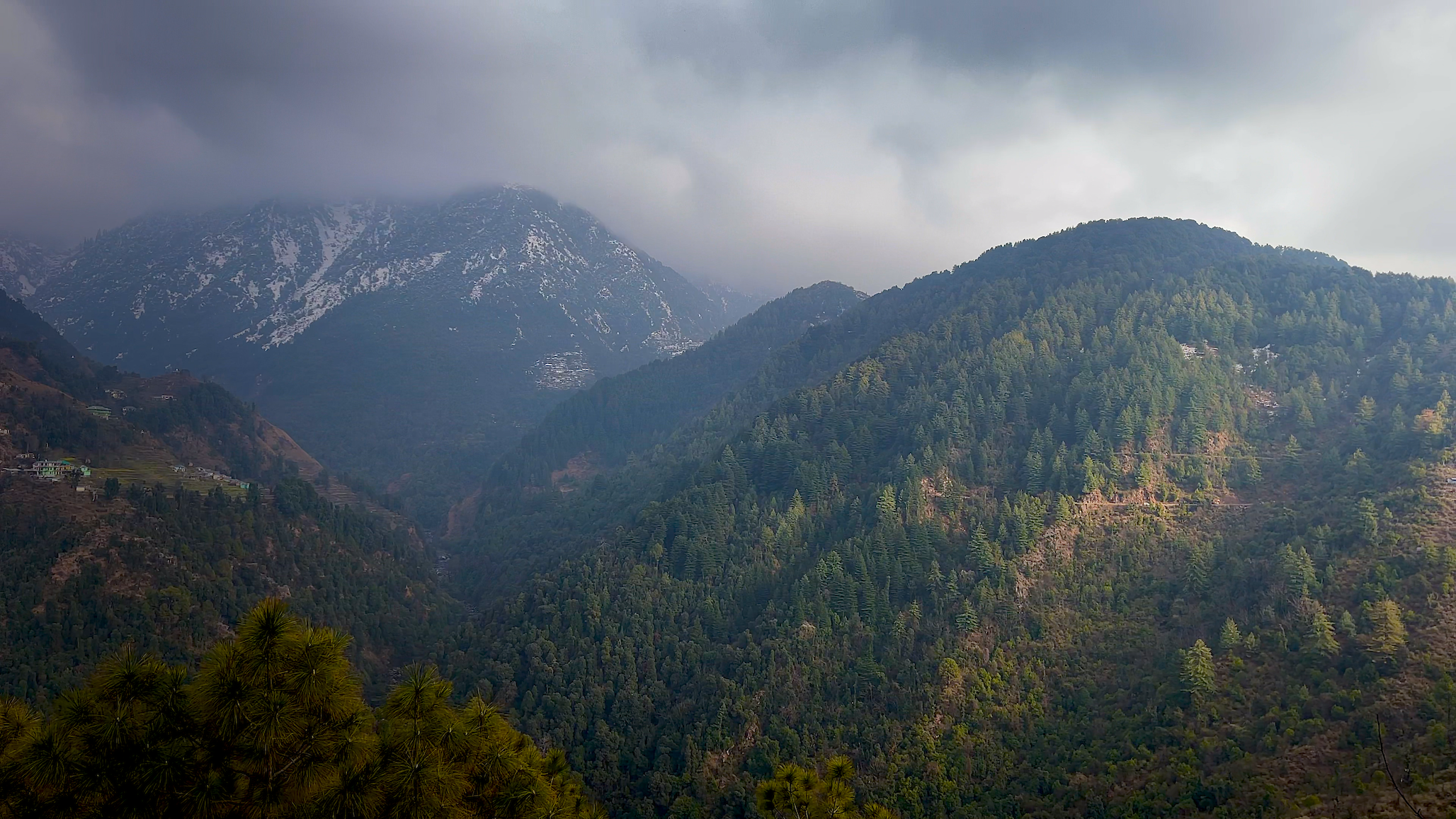 Clouds lifting over forested hills near Naddi during the monsoon season