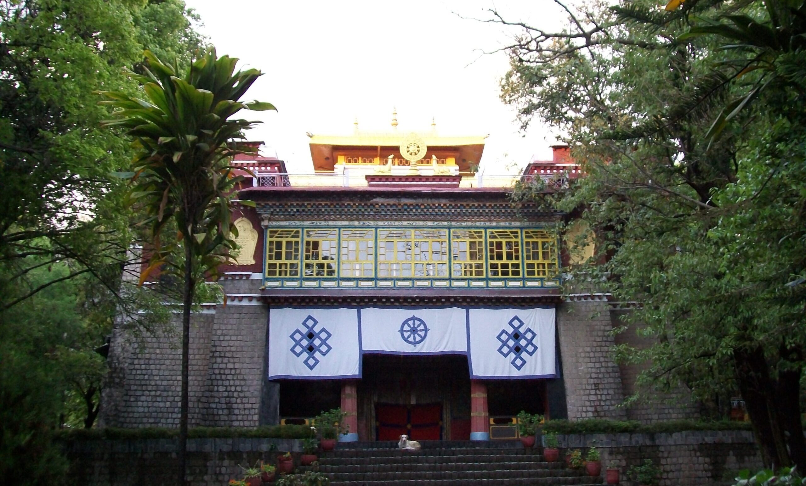 Entrance of Nechung Monastery in Dharamshala surrounded by trees, known as the seat of the Tibetan State Oracle
