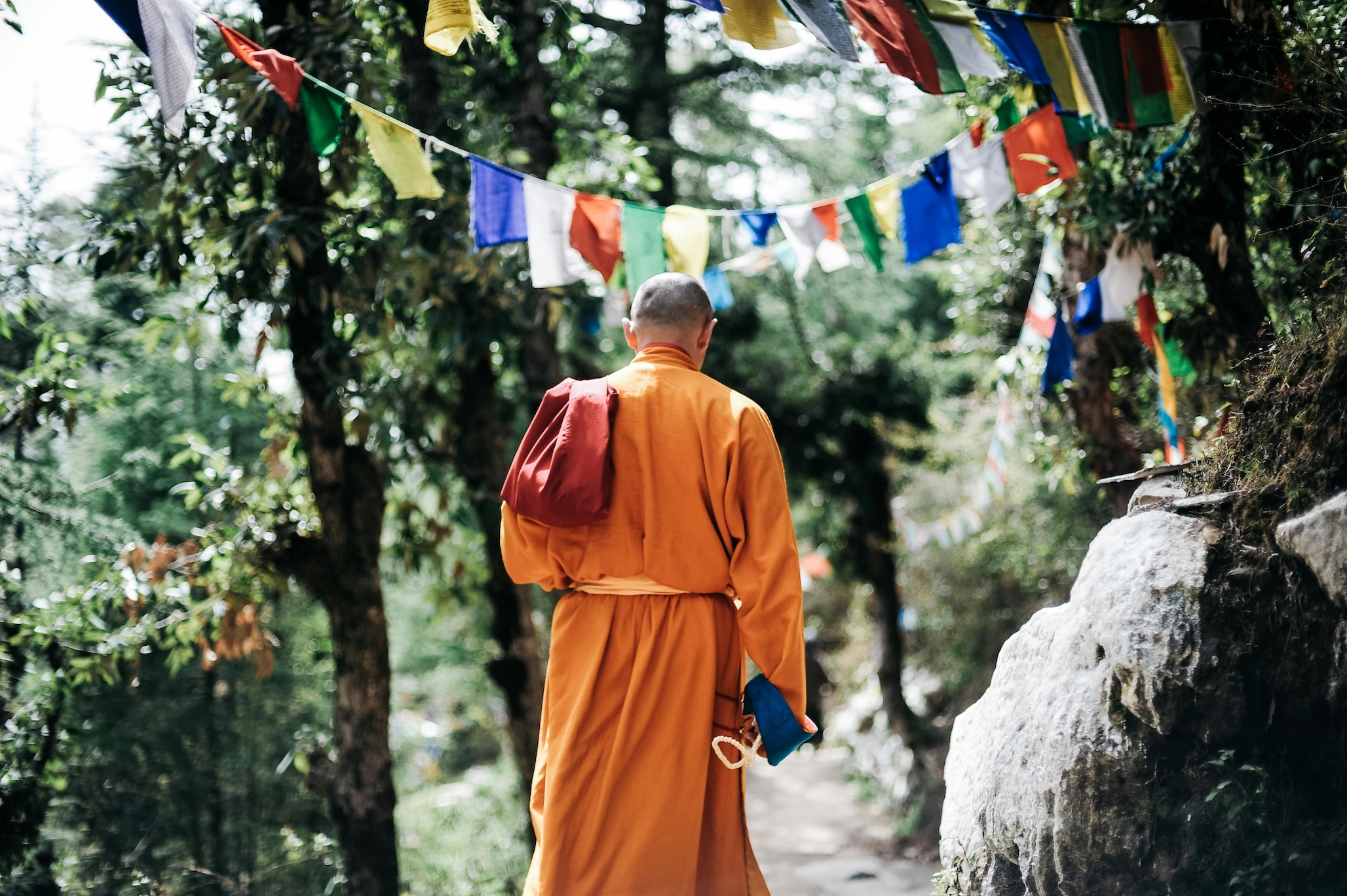 Monk walking quietly along a forest path beneath prayer flags near a Buddhist monastery in Dharamshala
