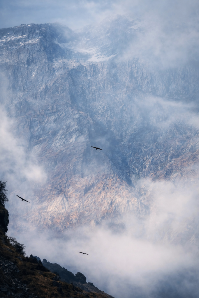 Mist drifting across steep Himalayan cliffs with birds soaring during a high-altitude trek in Dharamshala