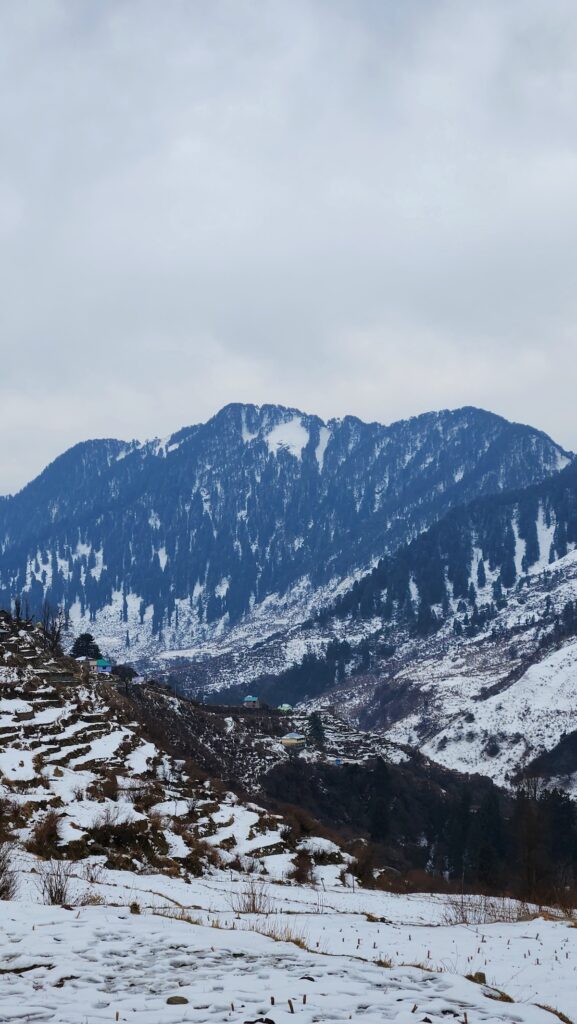 Forest trail opening to ridge views on the Thatharana Ridge trek in Dharamshala