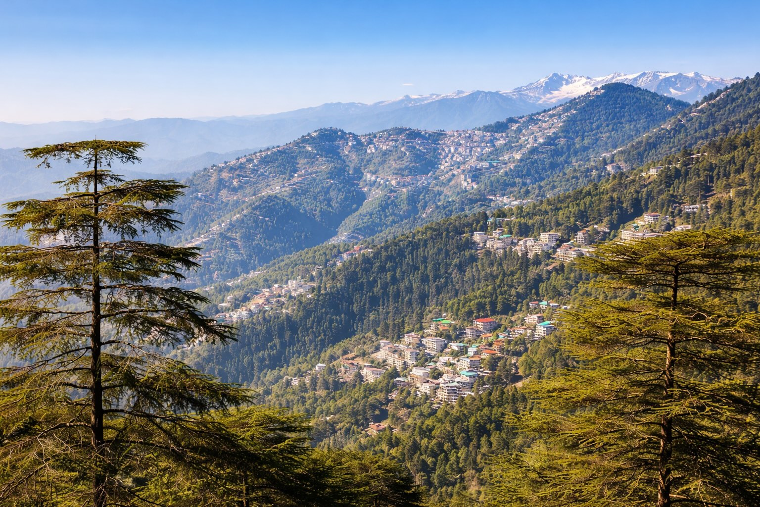 cost of living in Dharamshala reflected in mountain town lifestyle and hillside homes
