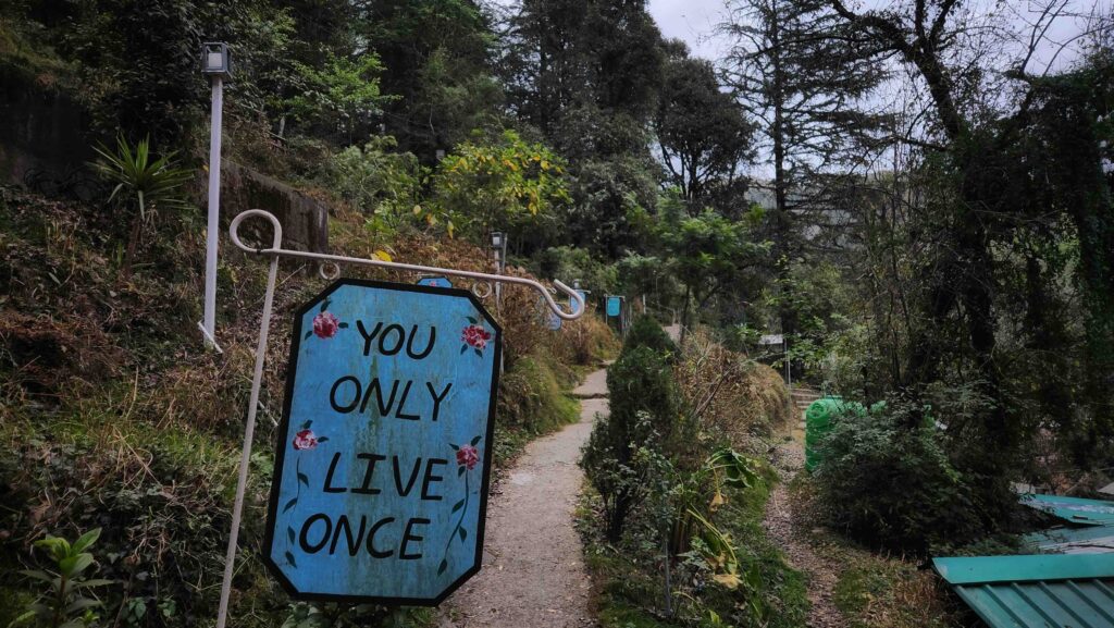walking path to cafes in Dharamkot Dharamshala surrounded by forest and hillside
