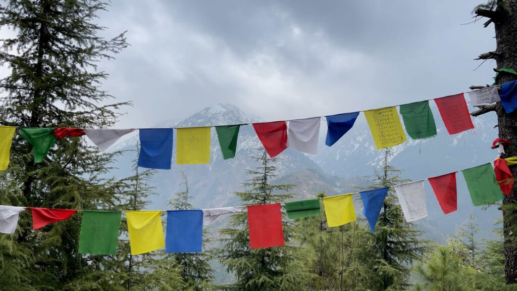 Colourful Tibetan prayer flags with Dhauladhar mountains in Dharamshala showing the scenic experience of how to reach Dharamshala
