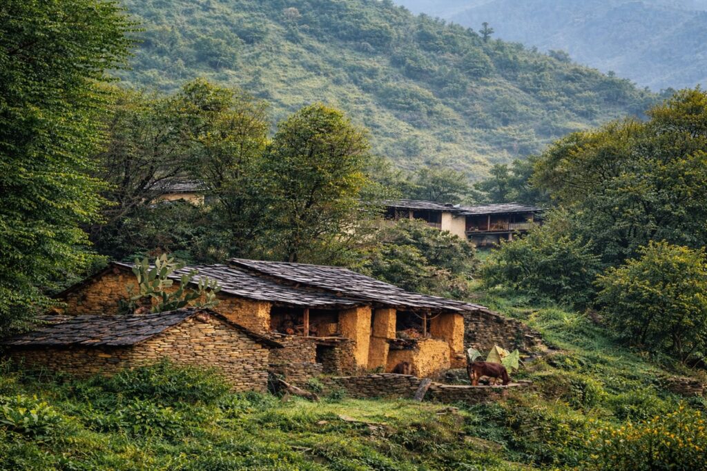 Traditional Himachali stone house in Dharamshala surrounded by lush green hills and forest landscape