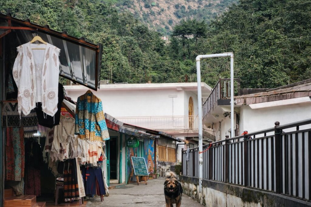 solo female traveller safe streets McLeodGanj Dharamshala daytime