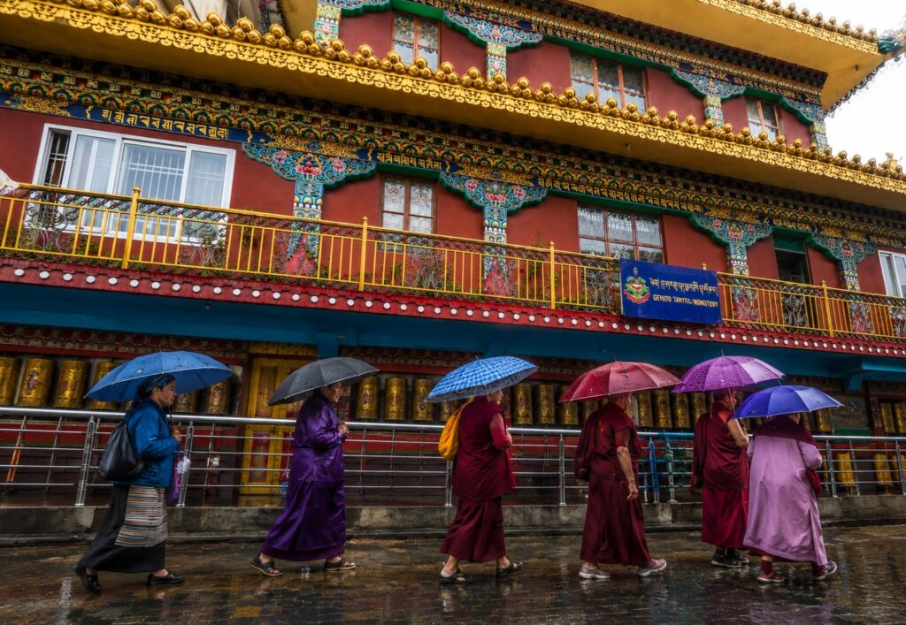 Where to stay for Dalai Lama Birthday 2026, monks walking in rain outside Tibetan monastery in Dharamshala