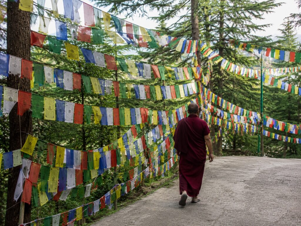 Where to stay for Dalai Lama Birthday 2026, Tibetan prayer flags and monk walking through Dharamshala forest path