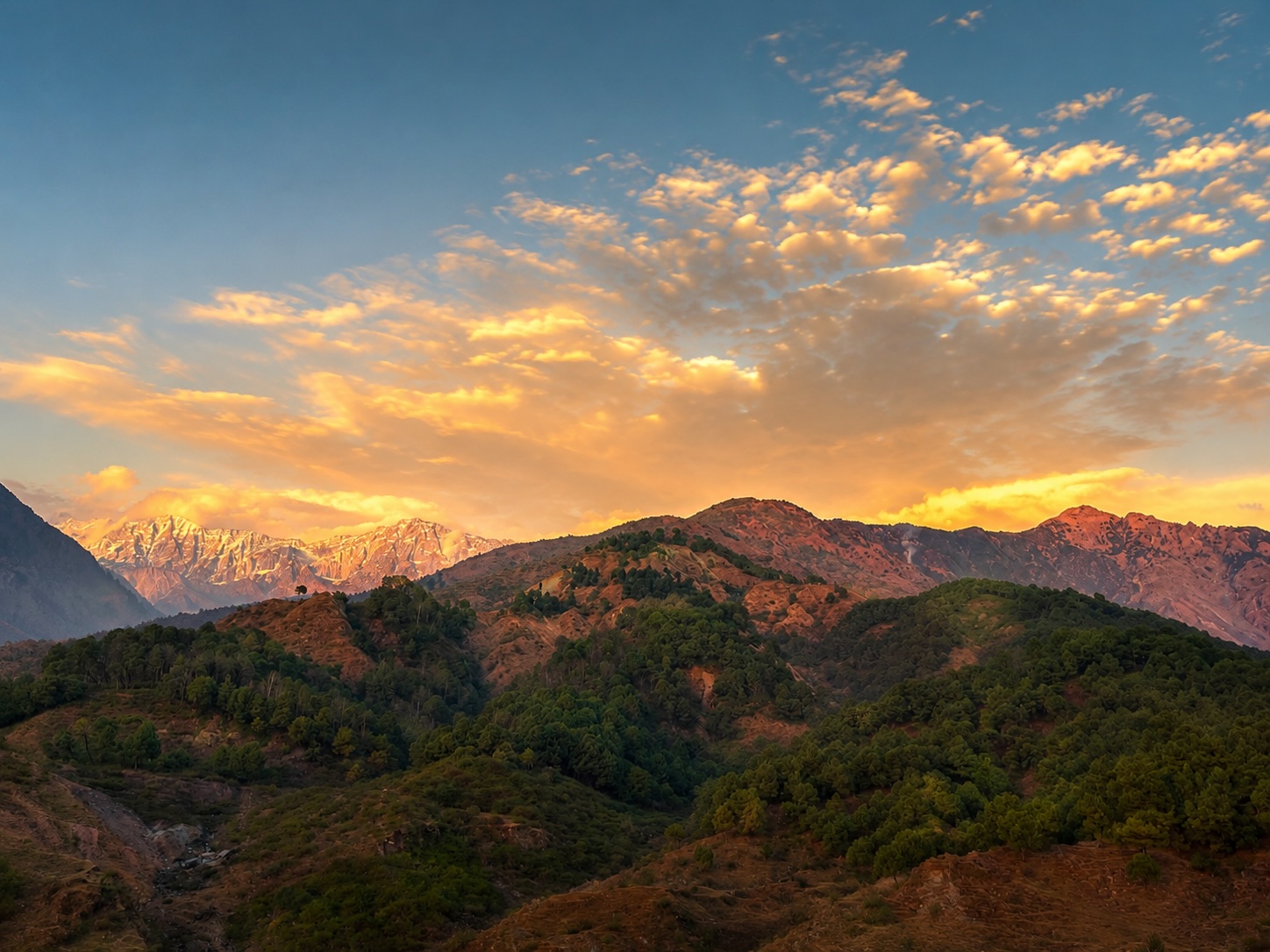 Best time to visit Dharamshala with golden evening light over the Dhauladhar mountains and pine-covered hills