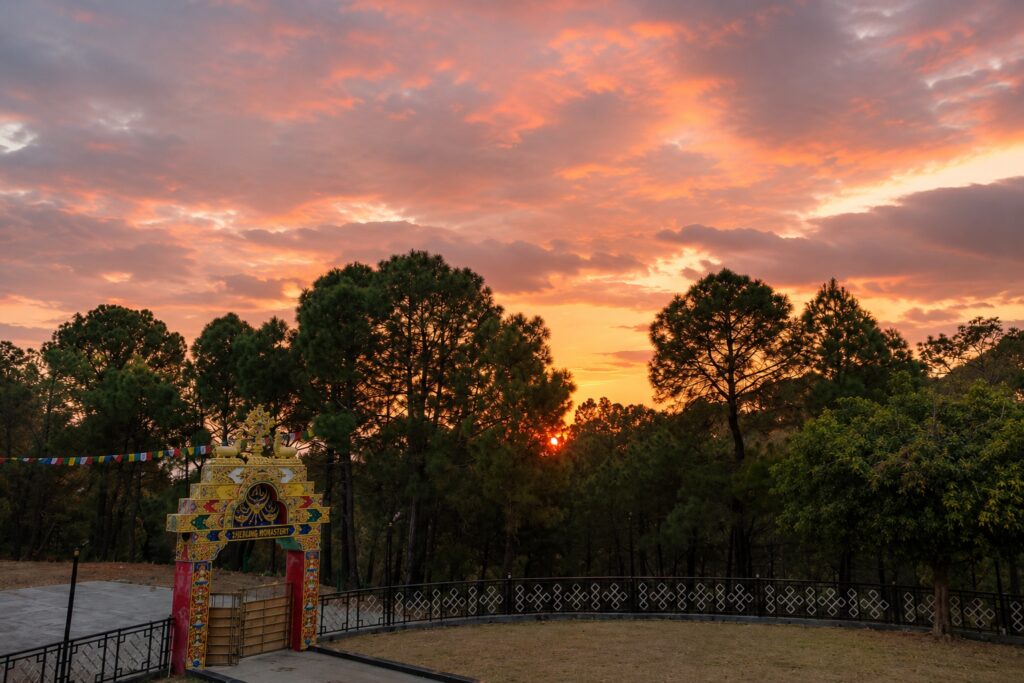 Sunset view near Sherabling Monastery with prayer flags, pine forest, and golden evening sky in Bir