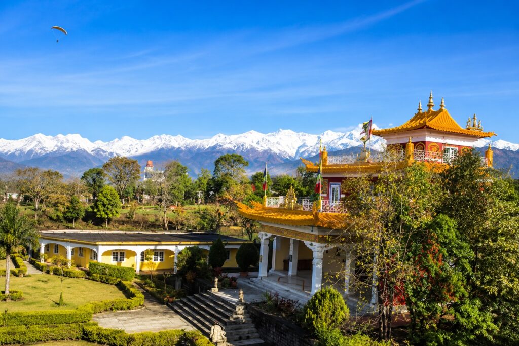 Golden-roofed Buddhist monastery in Bir with snow-capped Dhauladhar mountains and a paraglider in the sky, showcasing one of the most peaceful things to do in Bir.