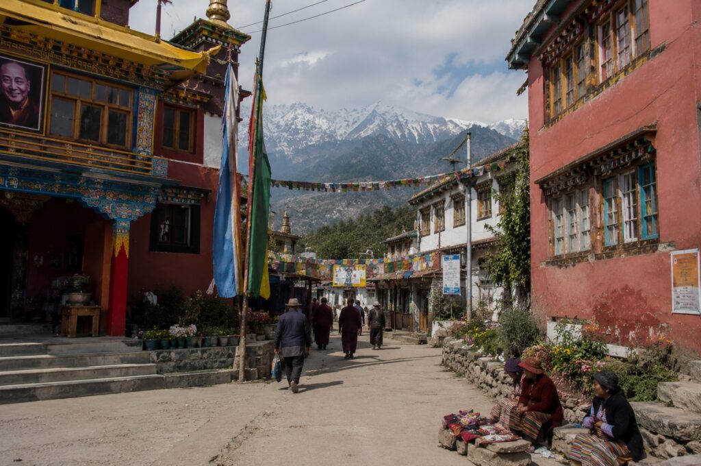Traditional Tibetan street in Bir Tibetan Colony with monasteries, prayer flags, local residents, and the Dhauladhar mountains in the background.