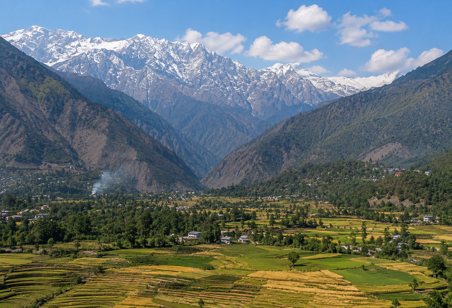 Panoramic view of Kangra Valley with golden fields, lush forests, and the snow-capped Dhauladhar Range under a clear blue sky.